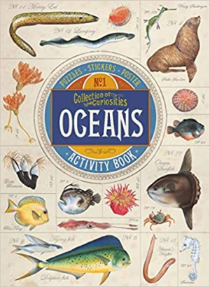 Oceans. Collection of Curiosities
