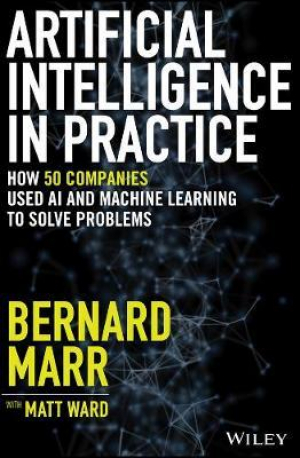 Artificial Intelligence in Practice