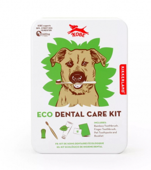 Eco Dental Care Kit