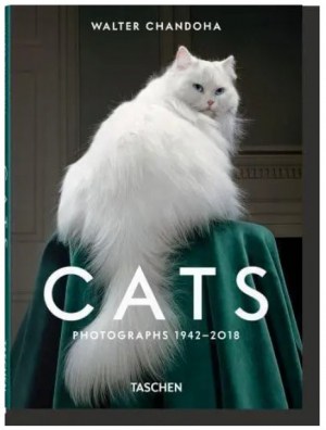 Walter Chandoha. Cats. Photographs 1942–2018