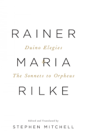 Duino Elegies And, The Sonnets to Orpheus