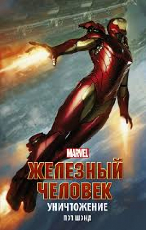 Железный Человек. Уничтожение