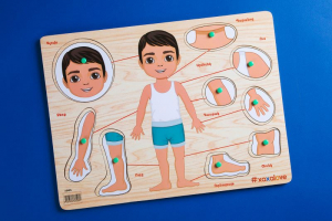 Ճանաչում ենք աշխարհը - Մարմնի մասեր