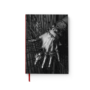 Նոթատետր Պռեգոմեշ