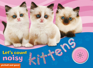 Let`s Count: Noisy Kittens
