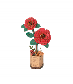 Red Camellia