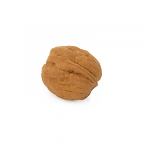 Maxi Eraser - Walnut Eraser - Walnut