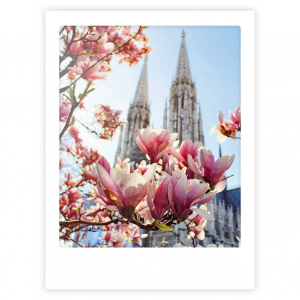 Greeting Card - pink blossom
