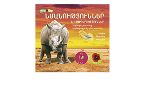 Նմանություններ և տարբերություններ