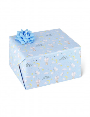 Wrapping Paper - Baby Born - Boy