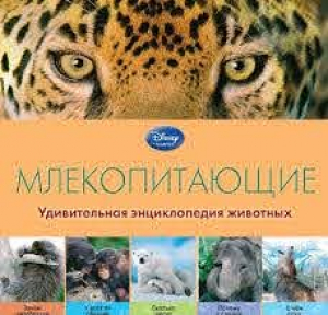 Млекопитающие. Удивительная энциклопедия животных