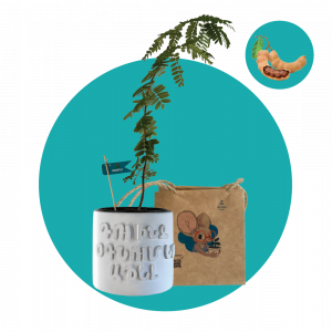 Թամարինդ (մեծ)