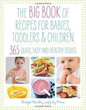 The Big Book Of Recipes For Babies