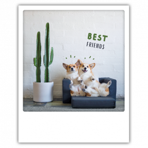 Открытка - Best Friends