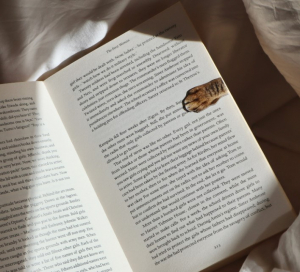 Magnetic Cat Paw Bookmarks