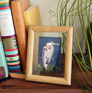 Small Floating Frame