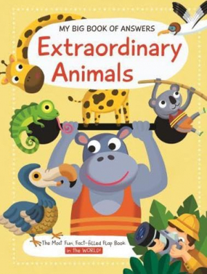 Big Book Of Answers Extraordinary