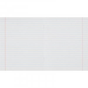 Copybook 12 pages lined - ШКОЛЬНЫЙ ОРНАМЕНТ